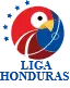 Liga Nacional icon
