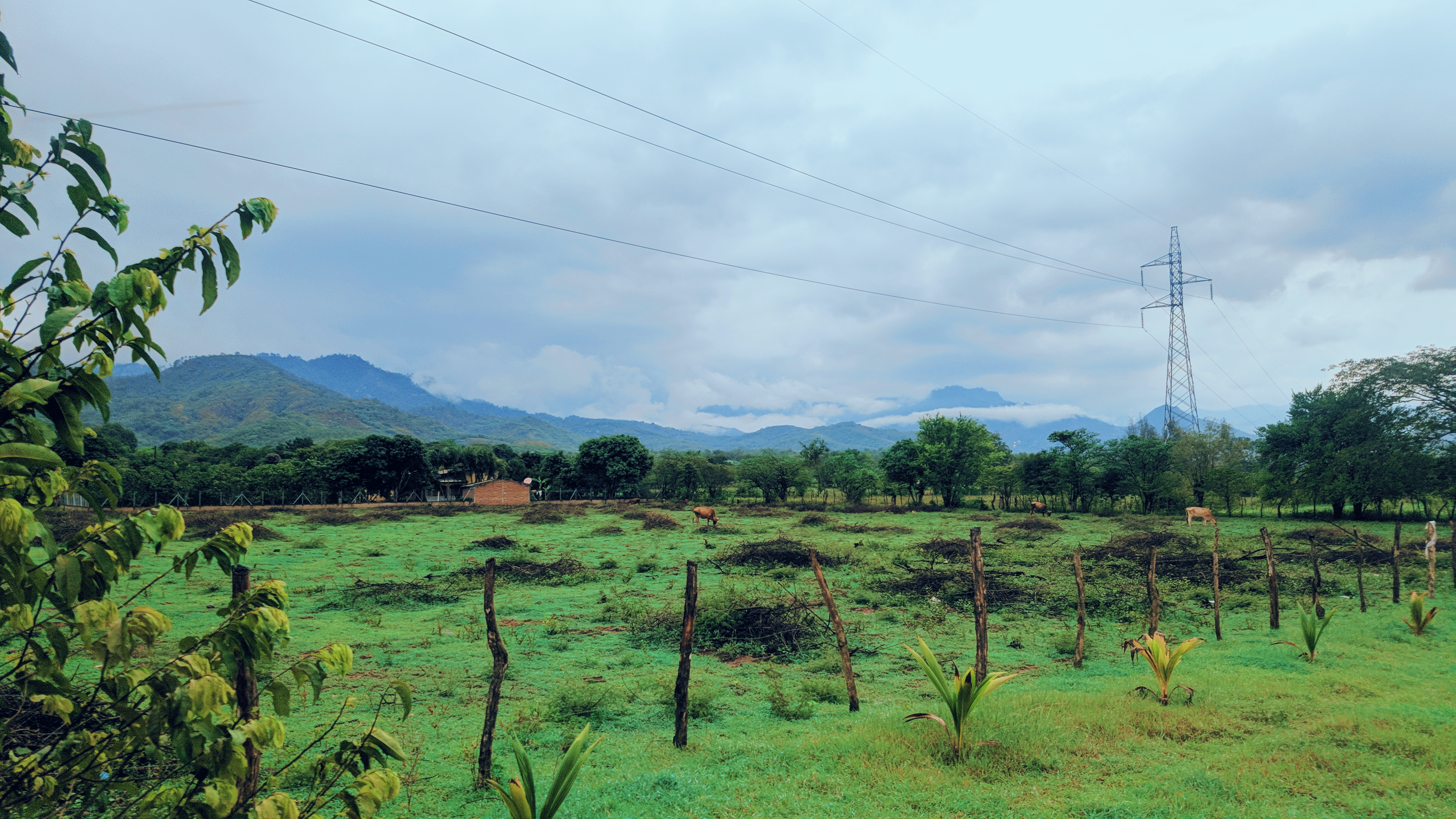 Cristiano Ronaldo confirma dónde jugará la próxima temporada